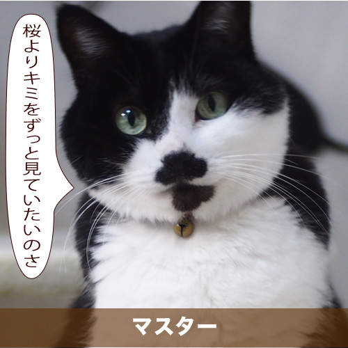 20200412_touko.jpg
