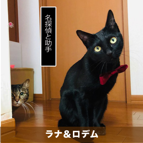 20200414_touko.jpg