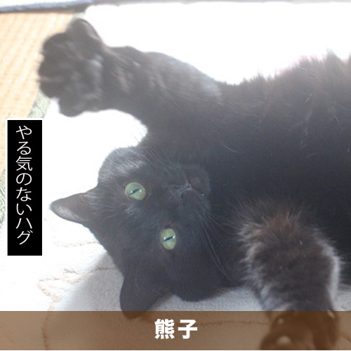 20200417_touko.jpg