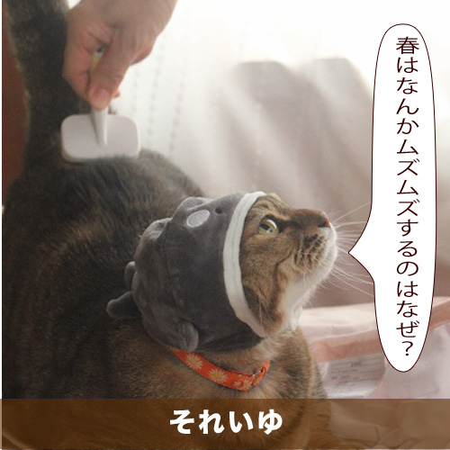 20200419_touko.jpg