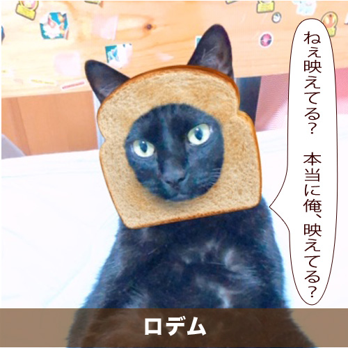 20200421_touko.jpg