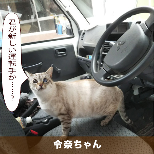 20200501_touko.jpg