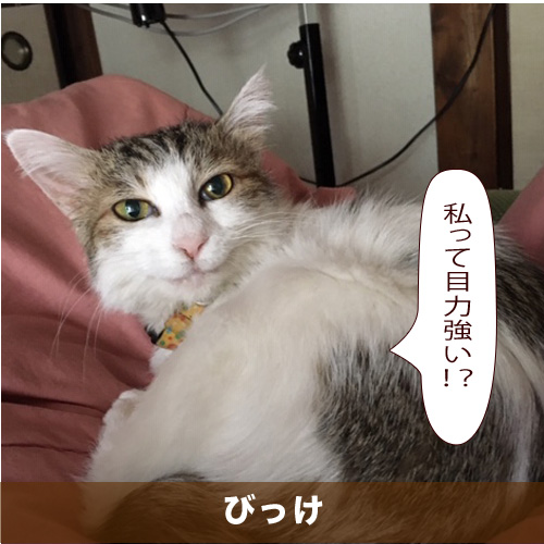 20200505_touko.jpg