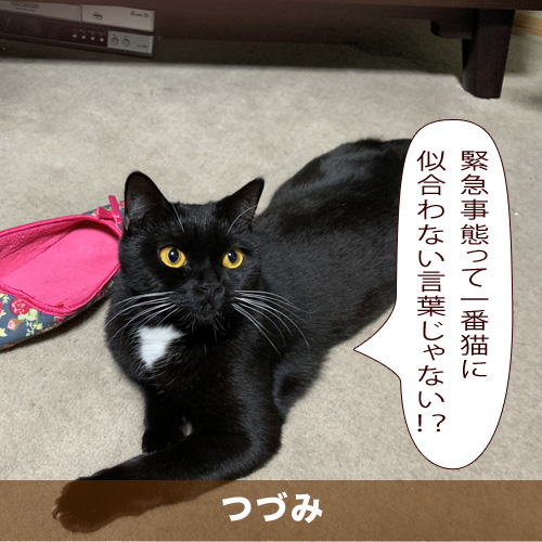 20200506_touko.jpg