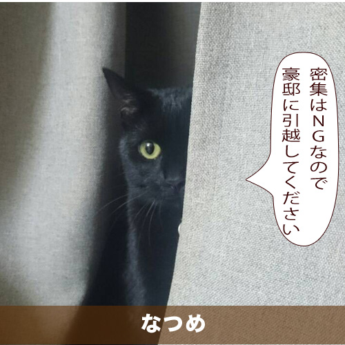 20200508_touko.jpg
