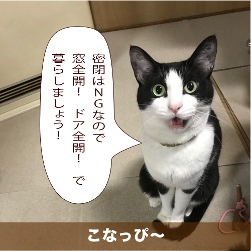 20200509_touko.jpg
