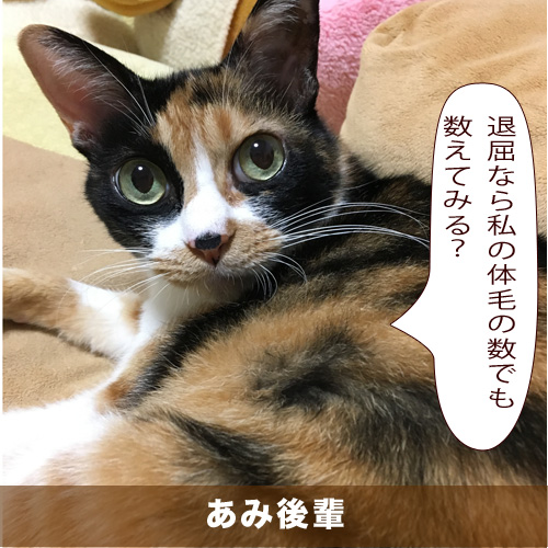 20200510_touko.jpg