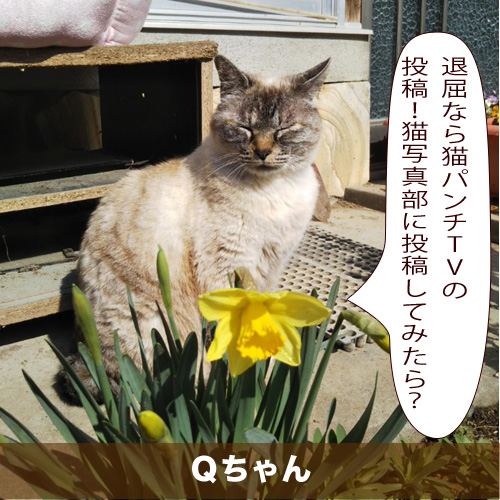 20200513_touko.jpg
