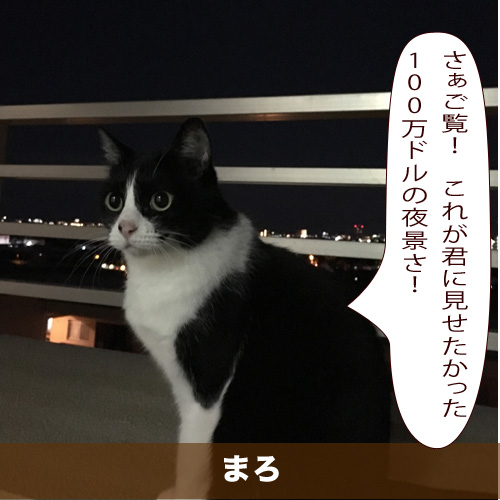 20200514_touko.jpg