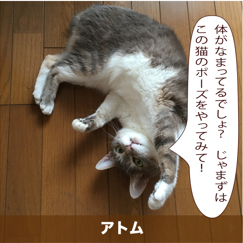 20200515_touko.jpg