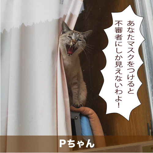 20200516_touko.jpg