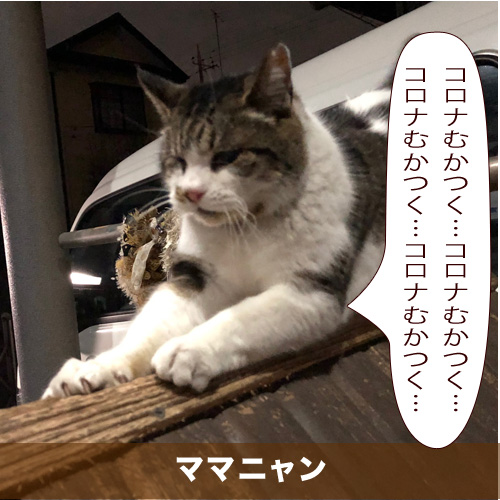 20200517_touko.jpg