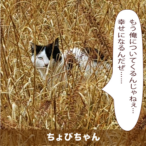 20200519_touko.jpg