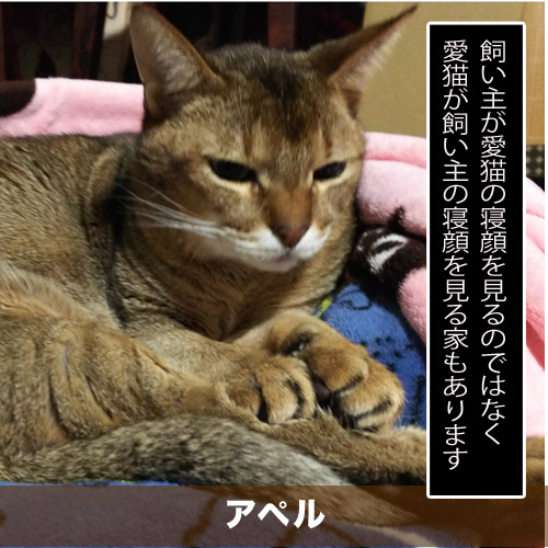 20200522_touko.jpg