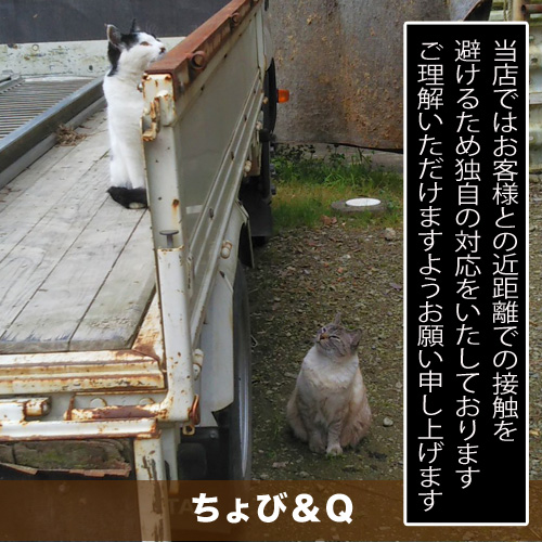 20200523_touko.jpg