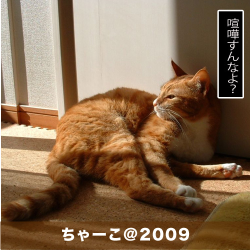 20200525_touko.jpg