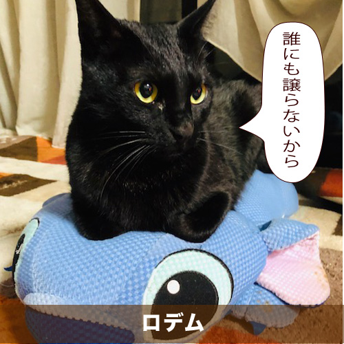 20200528_touko.jpg