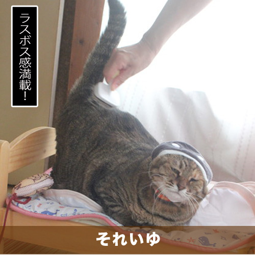 20200530_touko.jpg