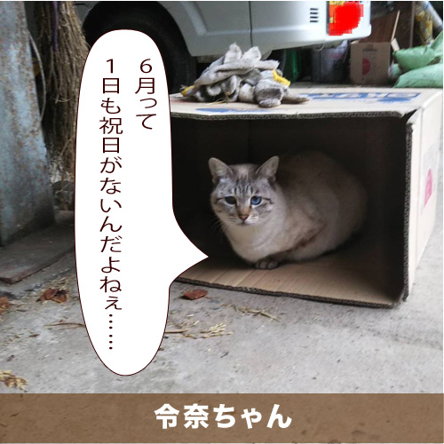 20200601_touko.jpg