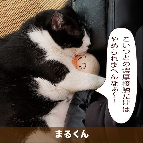 20200604_touko.jpg