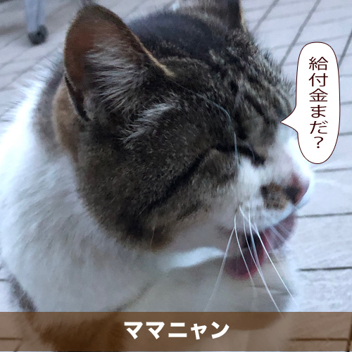 20200607_touko.jpg