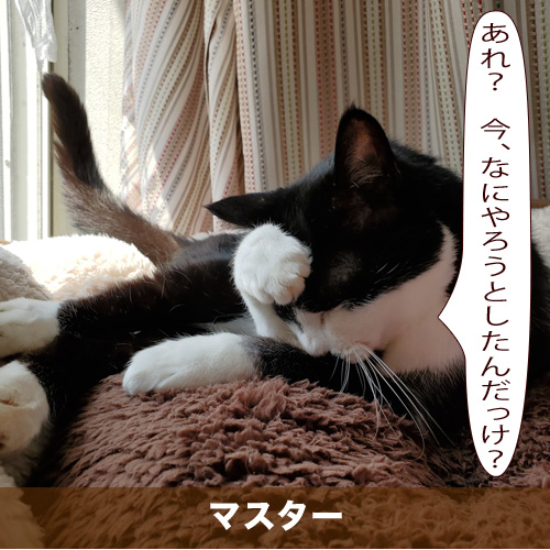 20200608_touko.jpg