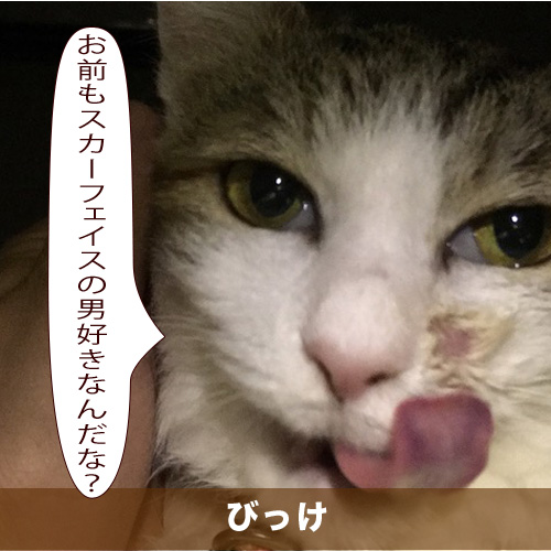 20200609_touko.jpg