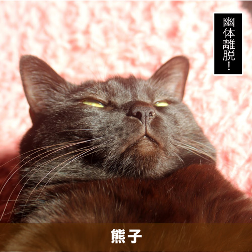 20200612_touko.jpg