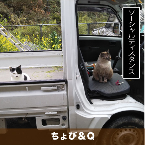 20200614_touko.jpg