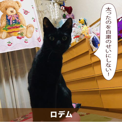 20200618_touko.jpg
