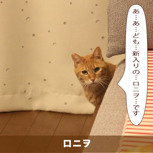 20200620_touko.jpg