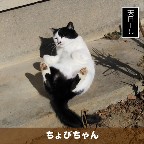 20200621_touko.jpg