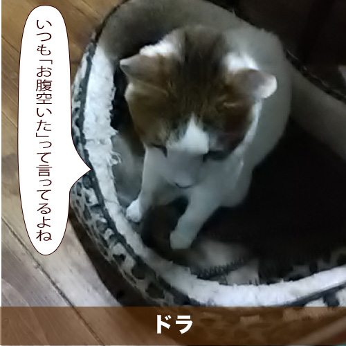 20200624_touko.jpg