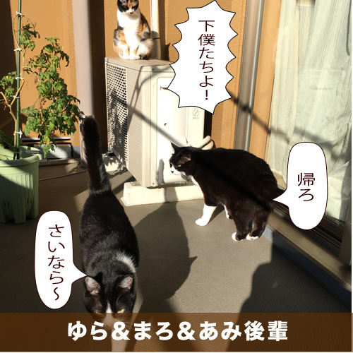 20200628_touko.jpg
