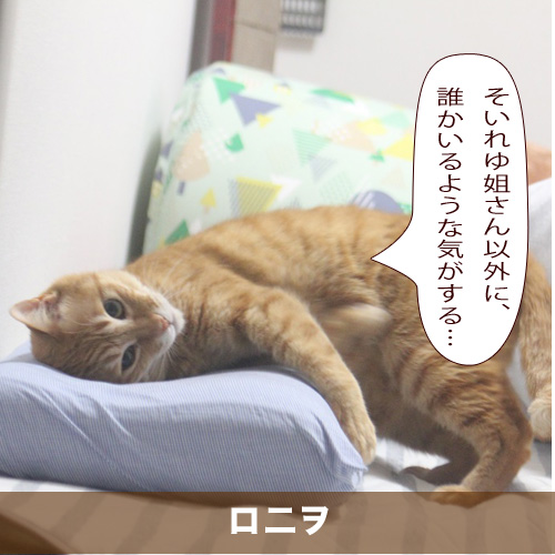 20200703_touko.jpg