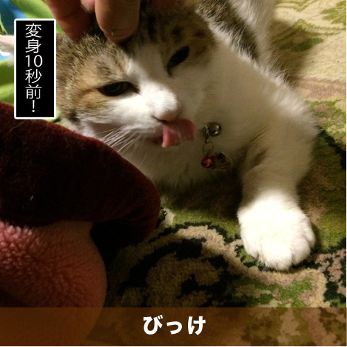 20200704_touko.jpg