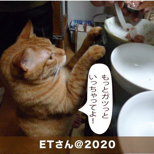 20200708_touko.jpg