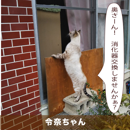 20200709_touko.jpg
