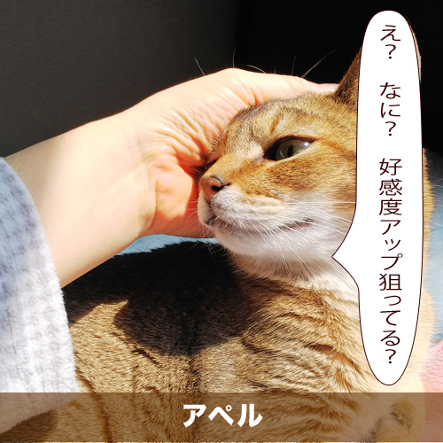 20200710_touko.jpg