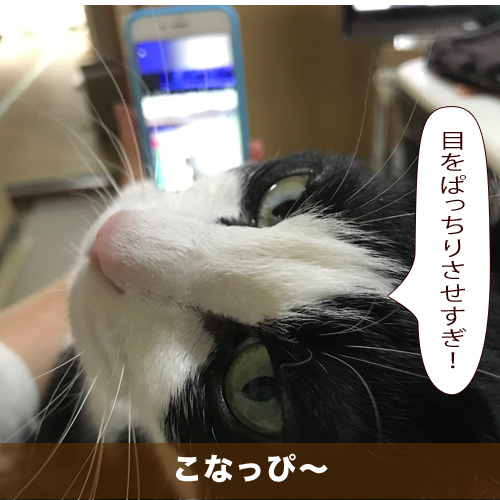 20200714_touko.jpg
