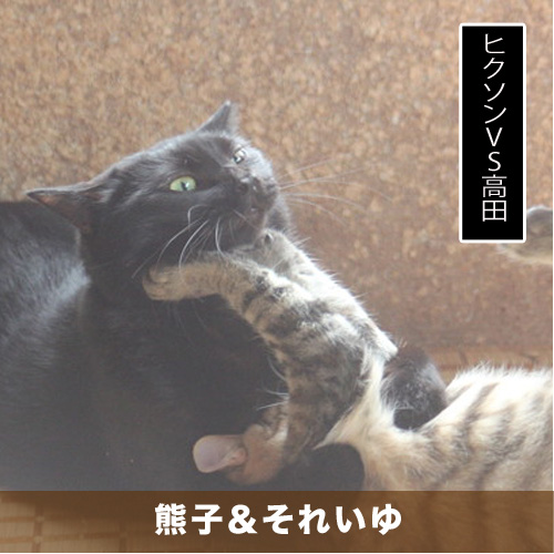 20200717_touko.jpg