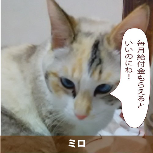 20200718_touko.jpg