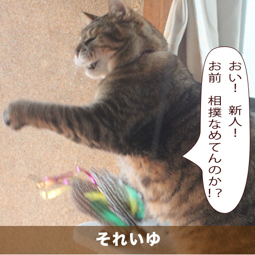 20200719_touko.jpg