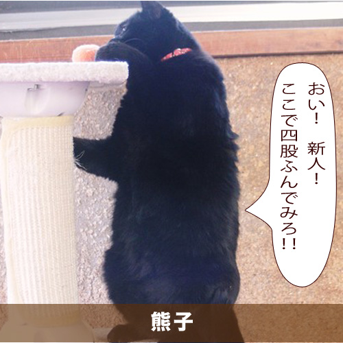 20200720_touko.jpg