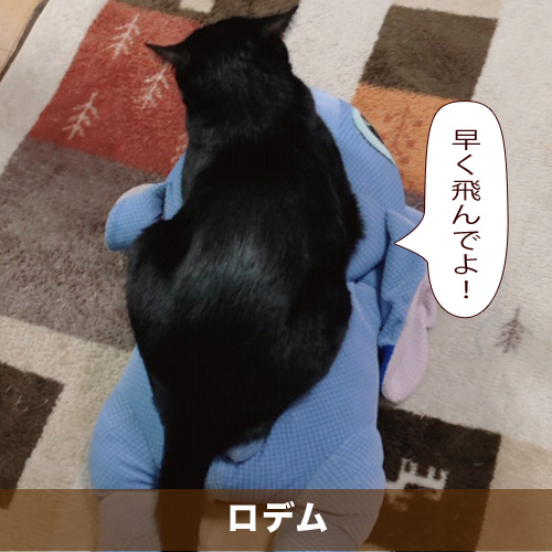 20200721_touko.jpg