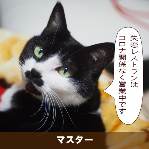 20200722_touko.jpg