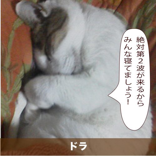 20200723_touko.jpg