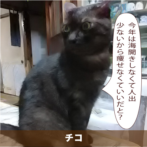 20200724_touko.jpg
