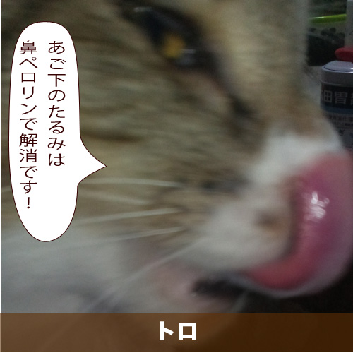 20200725_touko.jpg