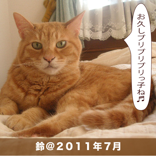 20200728_touko.jpg